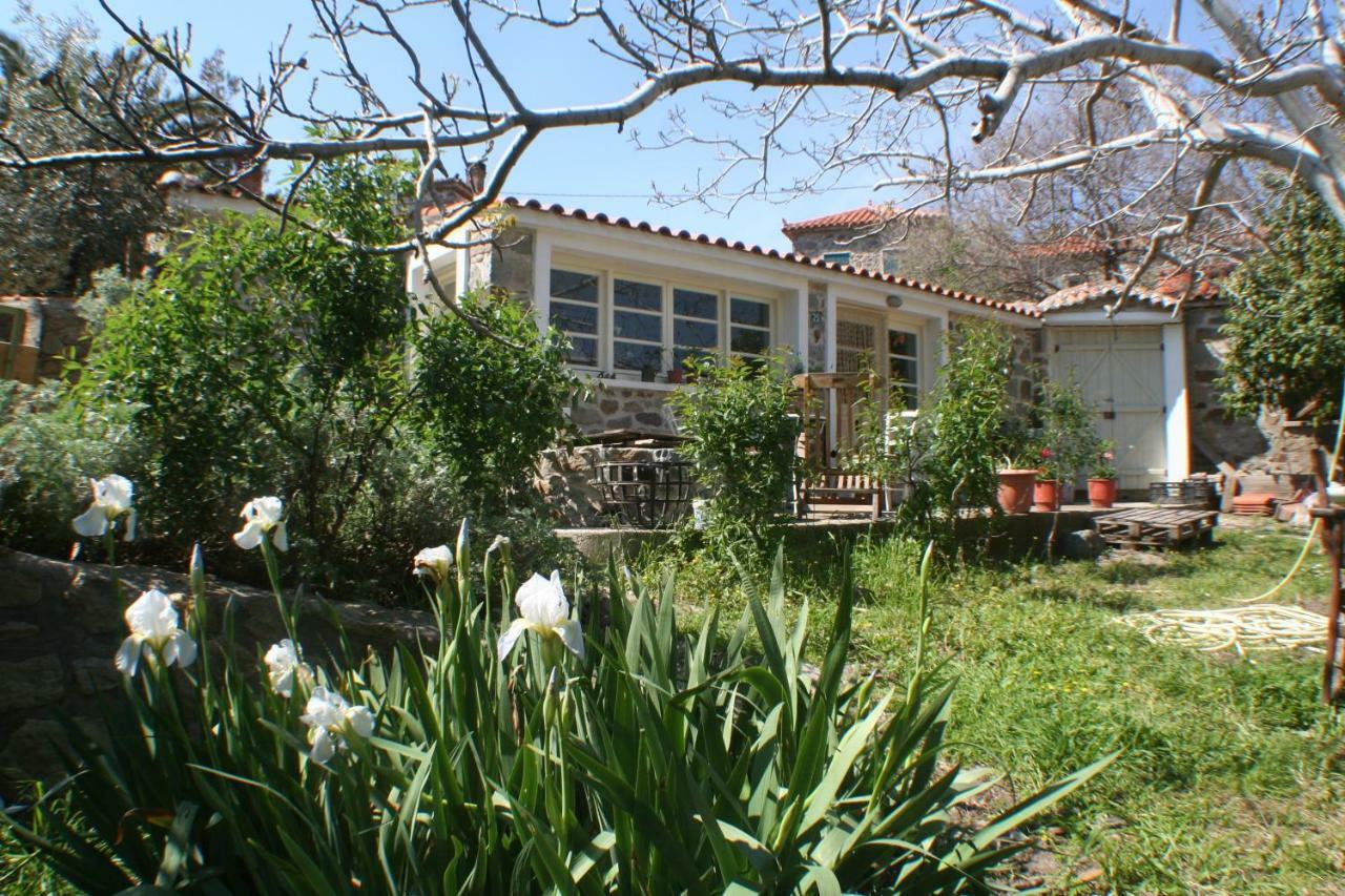 Arcadia Eressos Hotel Eksteriør billede